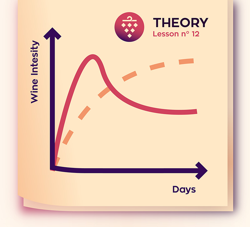 vine graph