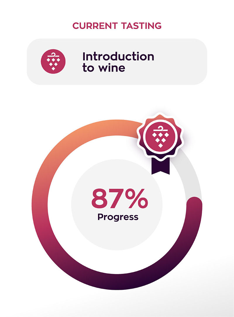 progress level